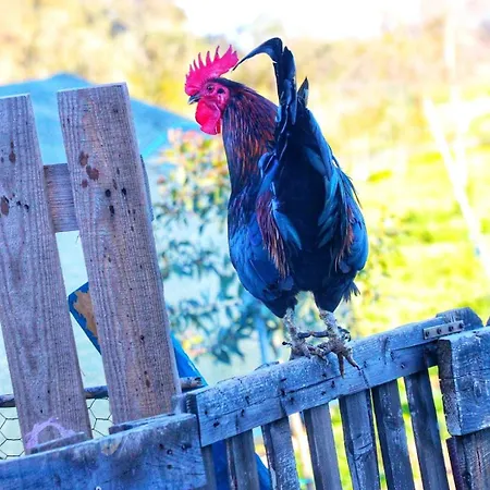 Podere Kiri Dome Experience Decimomannu Buitenkant foto