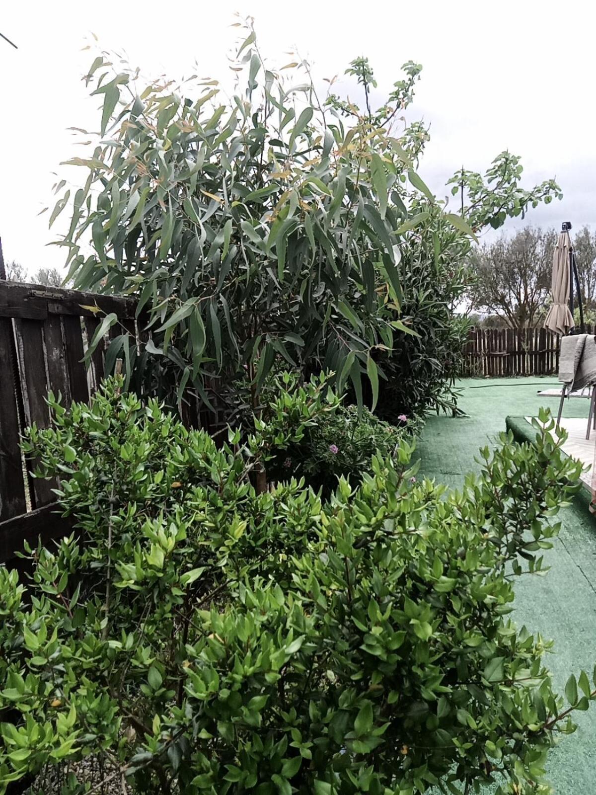 Glamping Podere Kiri Dome Experience